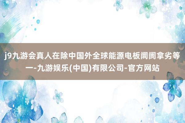 j9九游会真人在除中国外全球能源电板阛阓拿劣等一-九游娱乐(中国)有限公司-官方网站