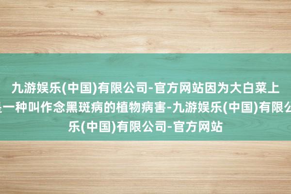 九游娱乐(中国)有限公司-官方网站因为大白菜上的斑点其实是一种叫作念黑斑病的植物病害-九游娱乐(中国)有限公司-官方网站
