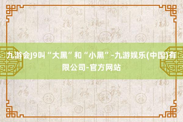 九游会J9叫“大黑”和“小黑”-九游娱乐(中国)有限公司-官方网站